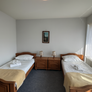 Twin Room with Balcony